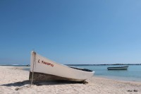 /album/galerie-photos/a11147148-883143941724296-9055341096631987105-o-1-jpg/